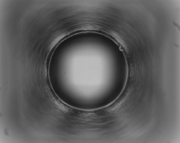 X0000097860837200803141236