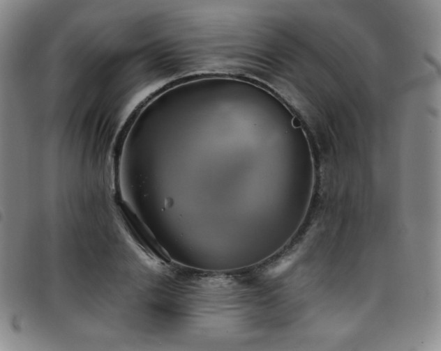 X0000097860838200803141236