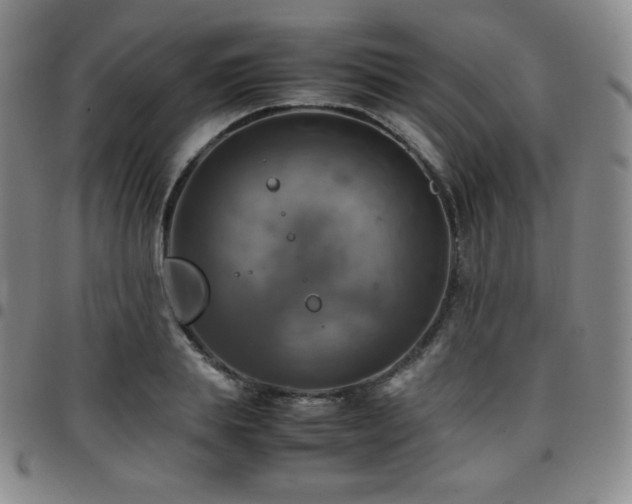 X0000097860839200803141237