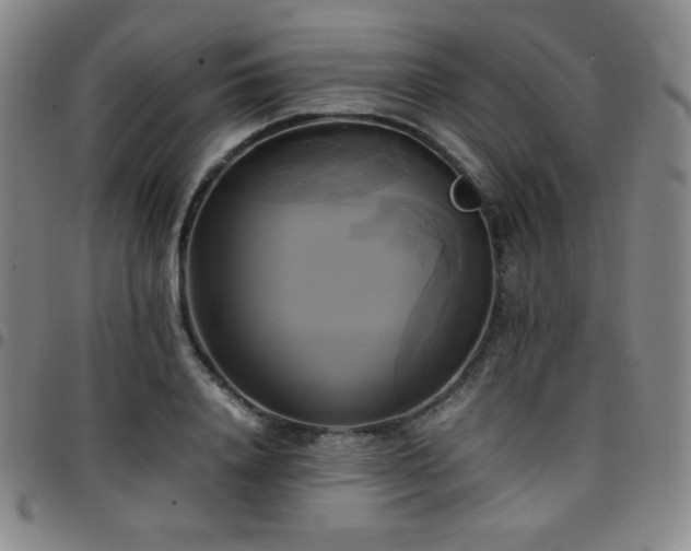 X0000097860840200803141237