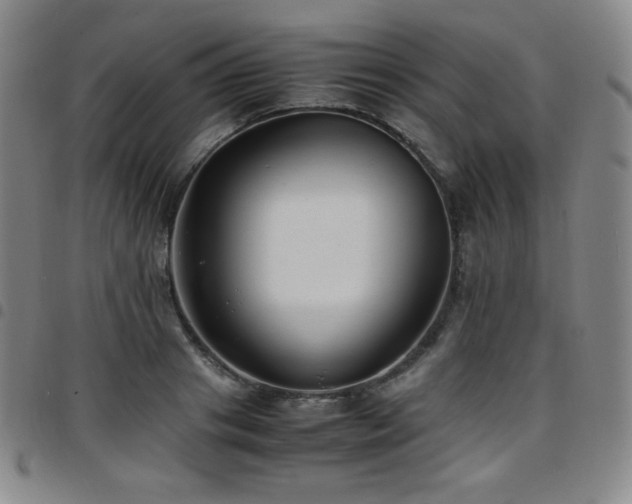 X0000097860841200803141237