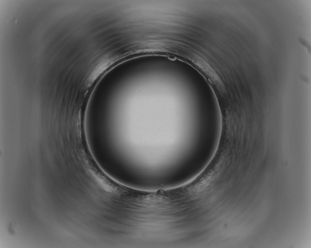 X0000097860842200803141237