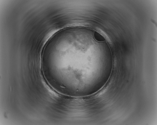 X0000097860844200803141237