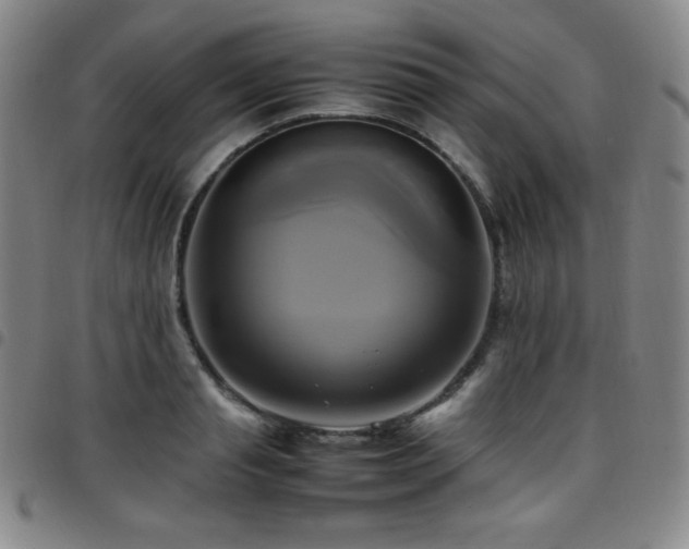 X0000097860845200803141237