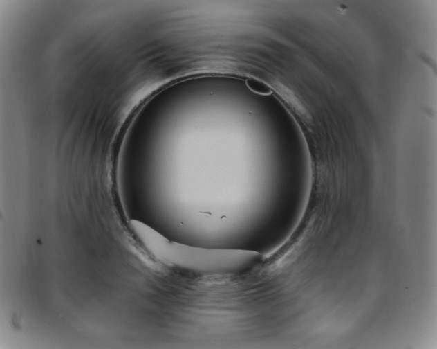 X0000097860846200803141237