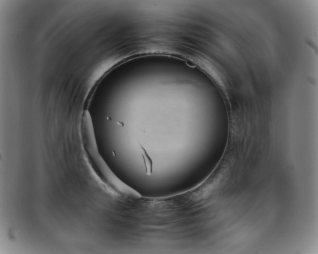 X0000097860847200803141237