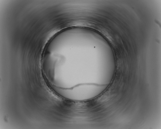 X0000097860848200803141237