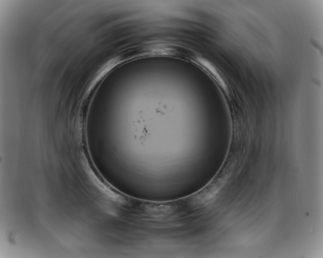 X0000097860851200803141237