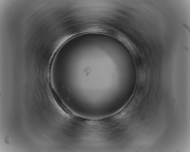 X0000097860852200803141237