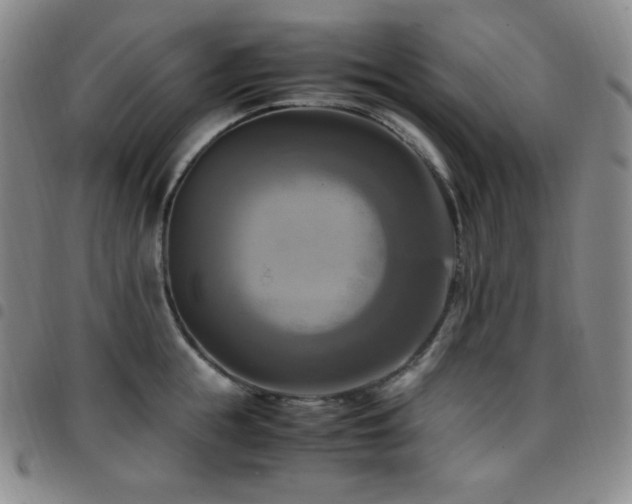 X0000097860855200803141237