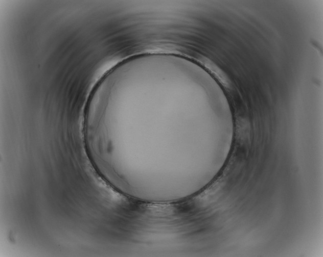 X0000097860856200803141237