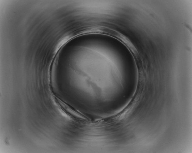 X0000097860858200803141237