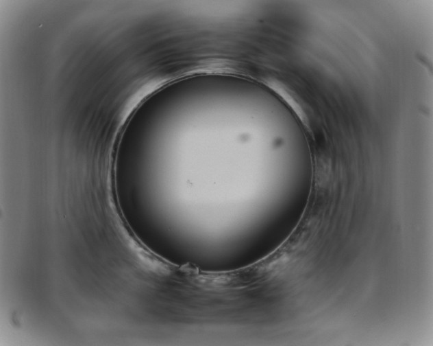 X0000097860861200803141237