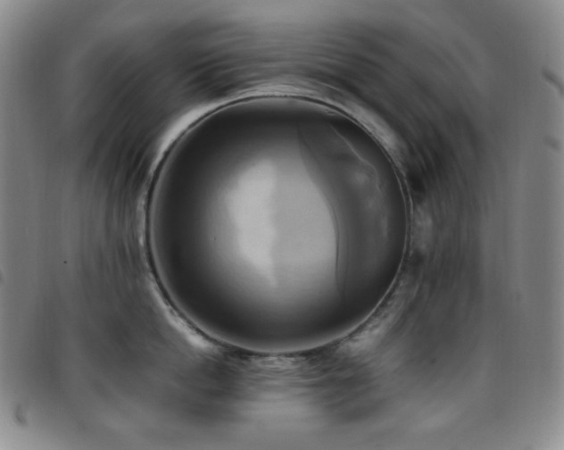 X0000097860862200803141237