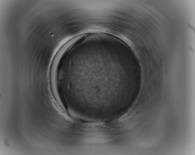 X0000097860864200803141237