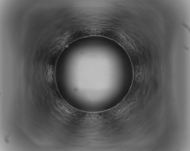 X0000097860866200803141236