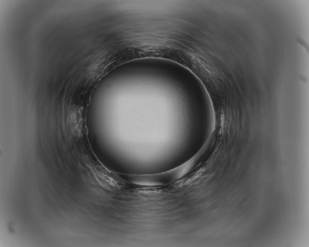 X0000097860868200803141236