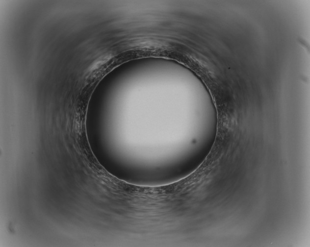 X0000097860869200803141236