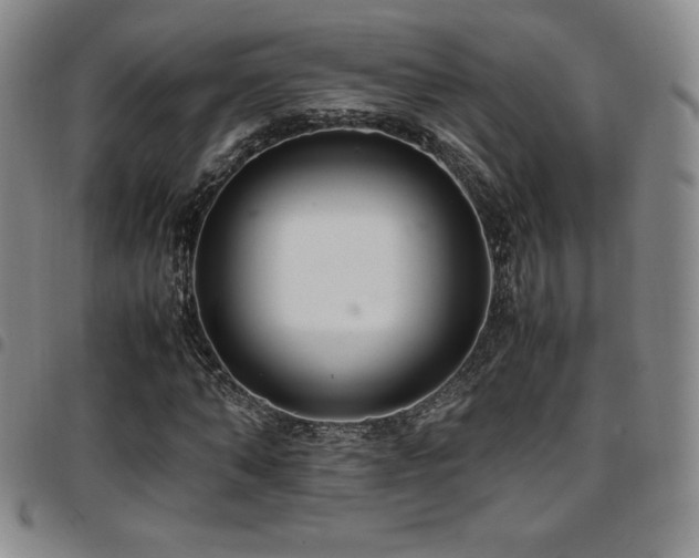 X0000097860870200803141236