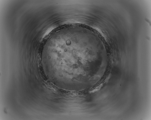 X0000097860871200803141236