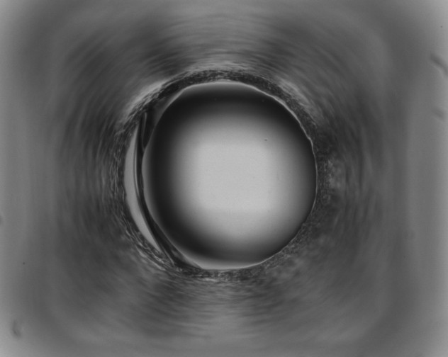 X0000097860872200803141236