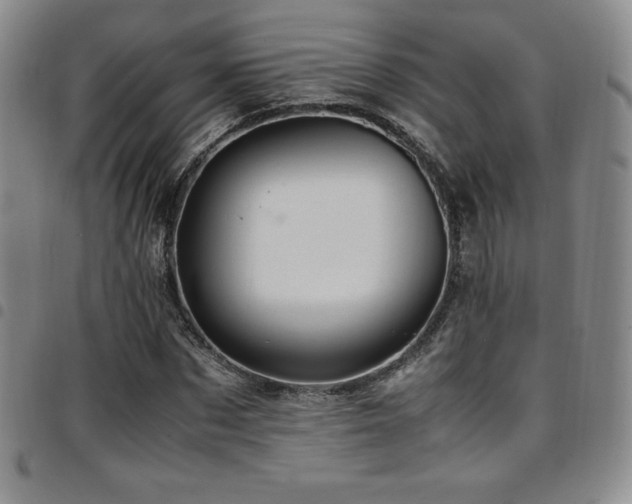 X0000097860873200803141236