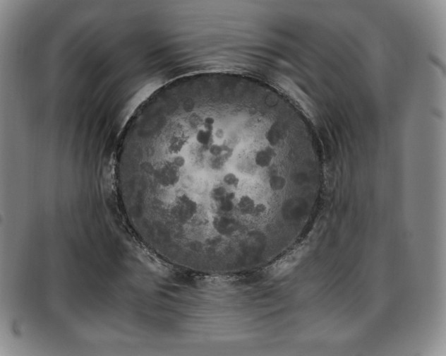 X0000097860875200803141236