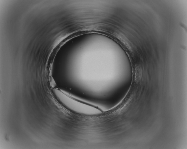 X0000097860876200803141236