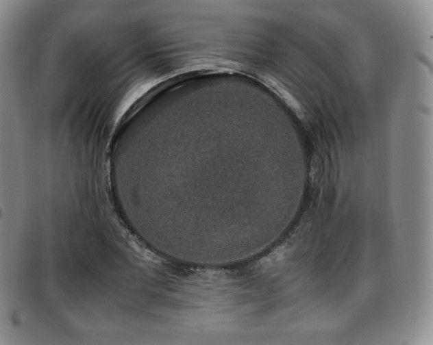 X0000097860877200803141236