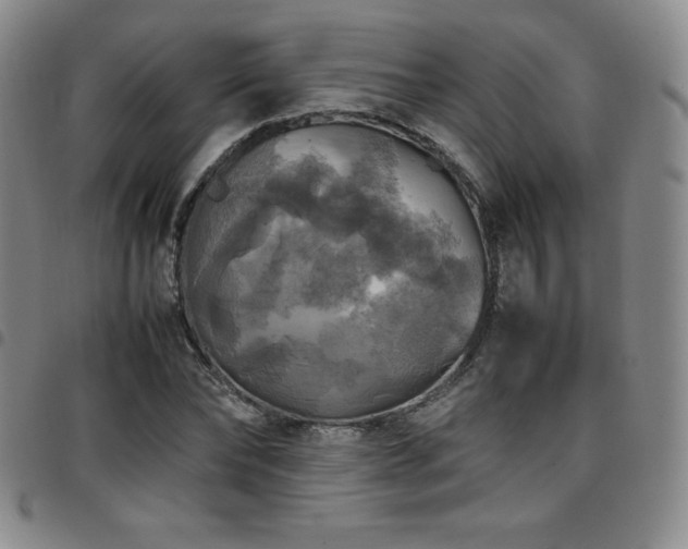 X0000097860878200803141236