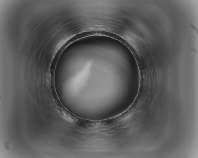 X0000097860879200803141236