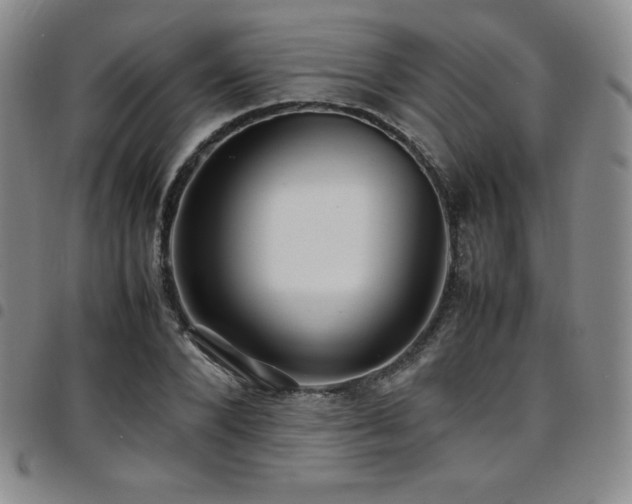 X0000097860880200803141236