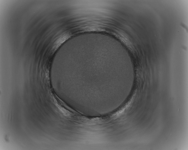 X0000097860881200803141236