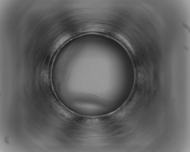 X0000097860882200803141236