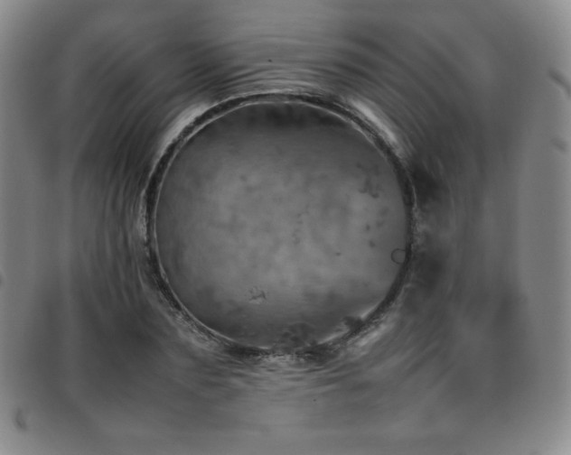 X0000097860883200803141236