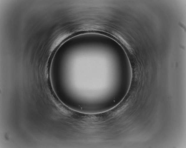 X0000097860885200803141236