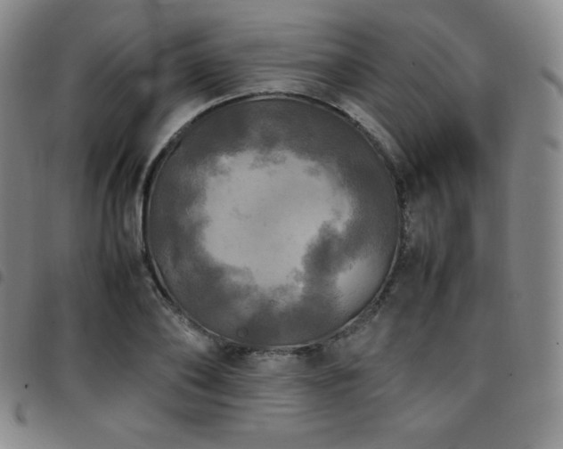 X0000097860886200803141236