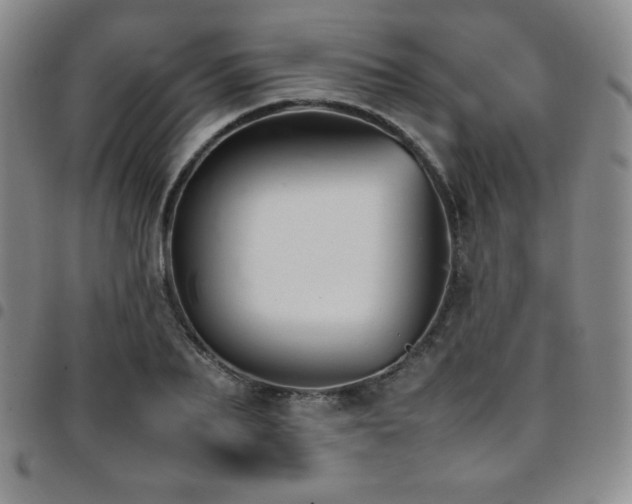 X0000097860887200803141236