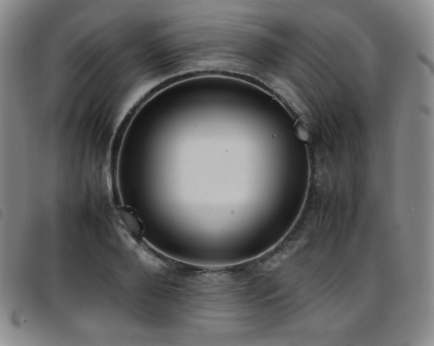 X0000097860888200803141236