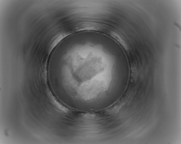 X0000097860890200803141236