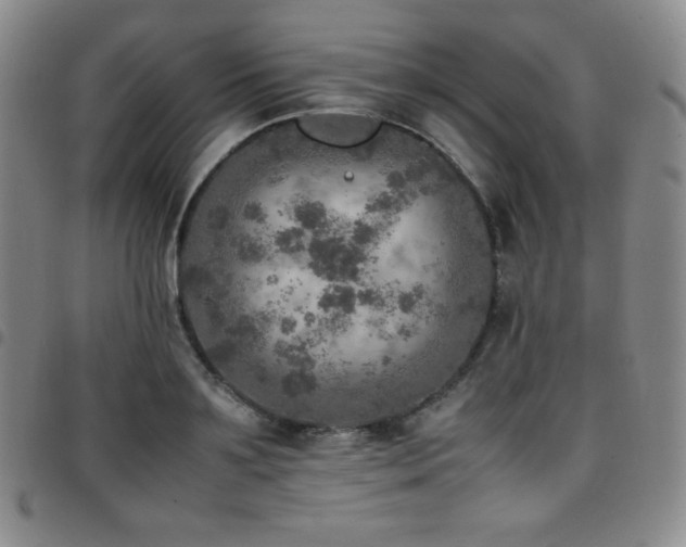 X0000097860891200803141236