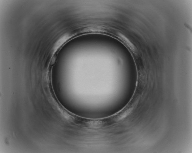 X0000097860893200803141236