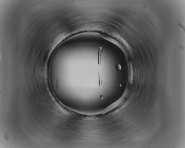 X0000097860894200803141236