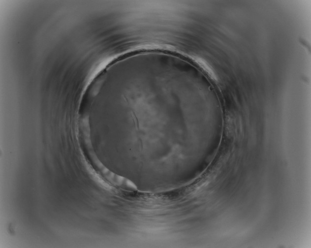 X0000097860895200803141236