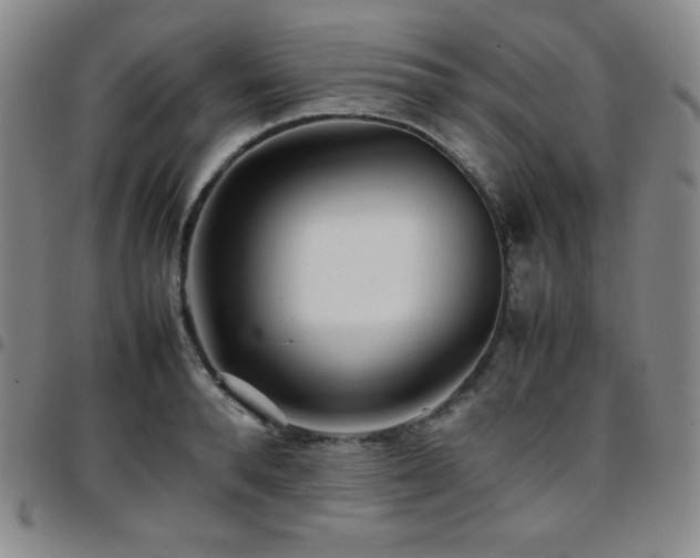 X0000097860896200803141236