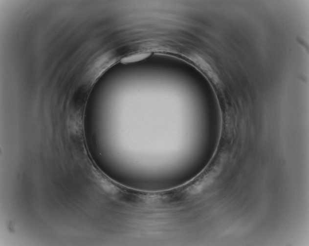 X0000097860897200803141236