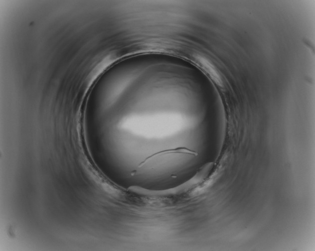 X0000097860899200803141236