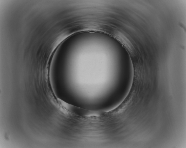 X0000097860900200803141236