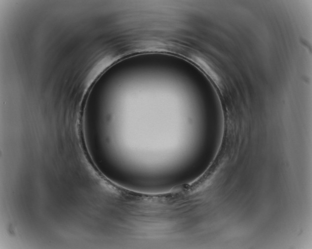 X0000097860901200803141236