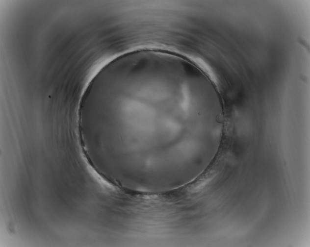 X0000097860903200803141236